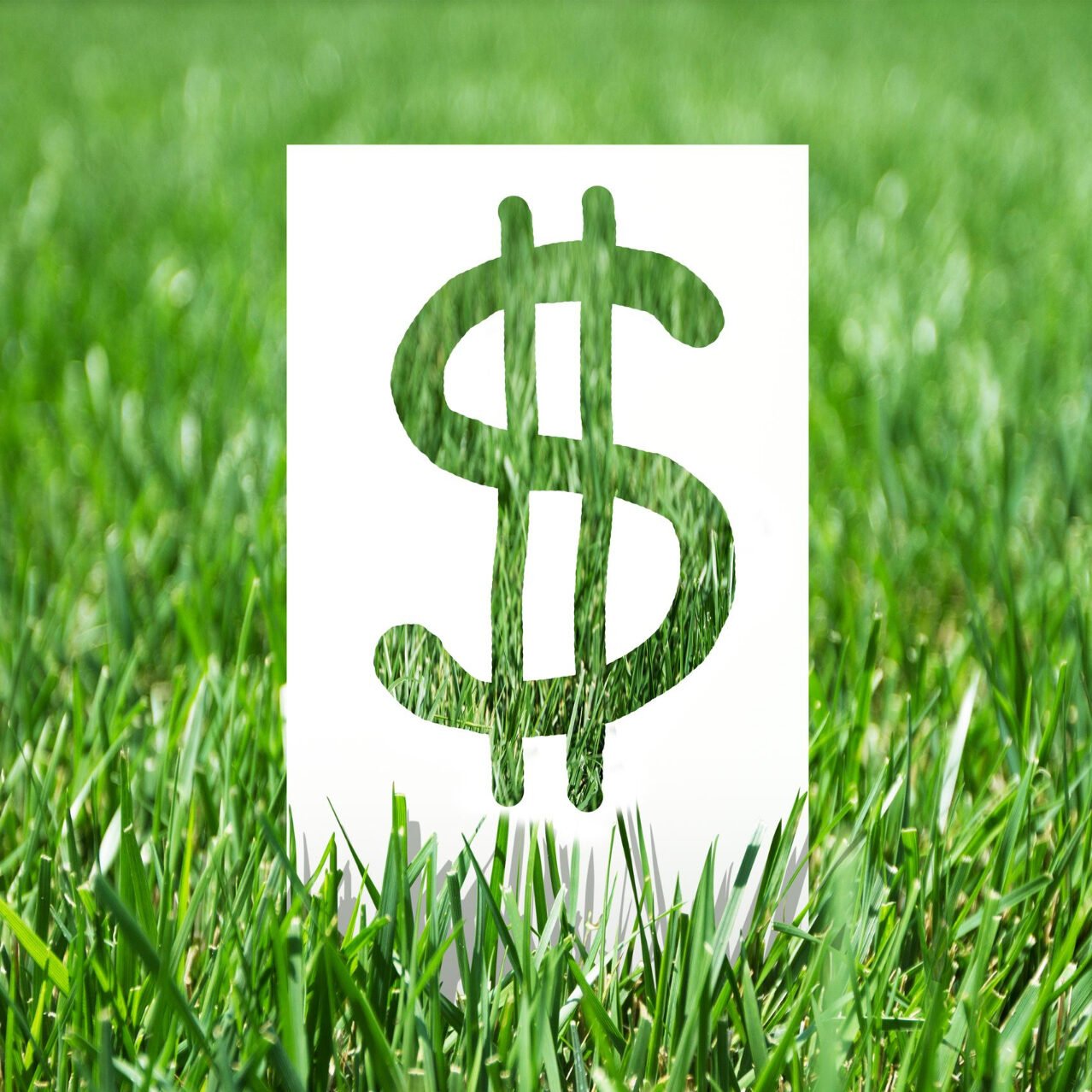 Land prices surging in Southeast Queensland